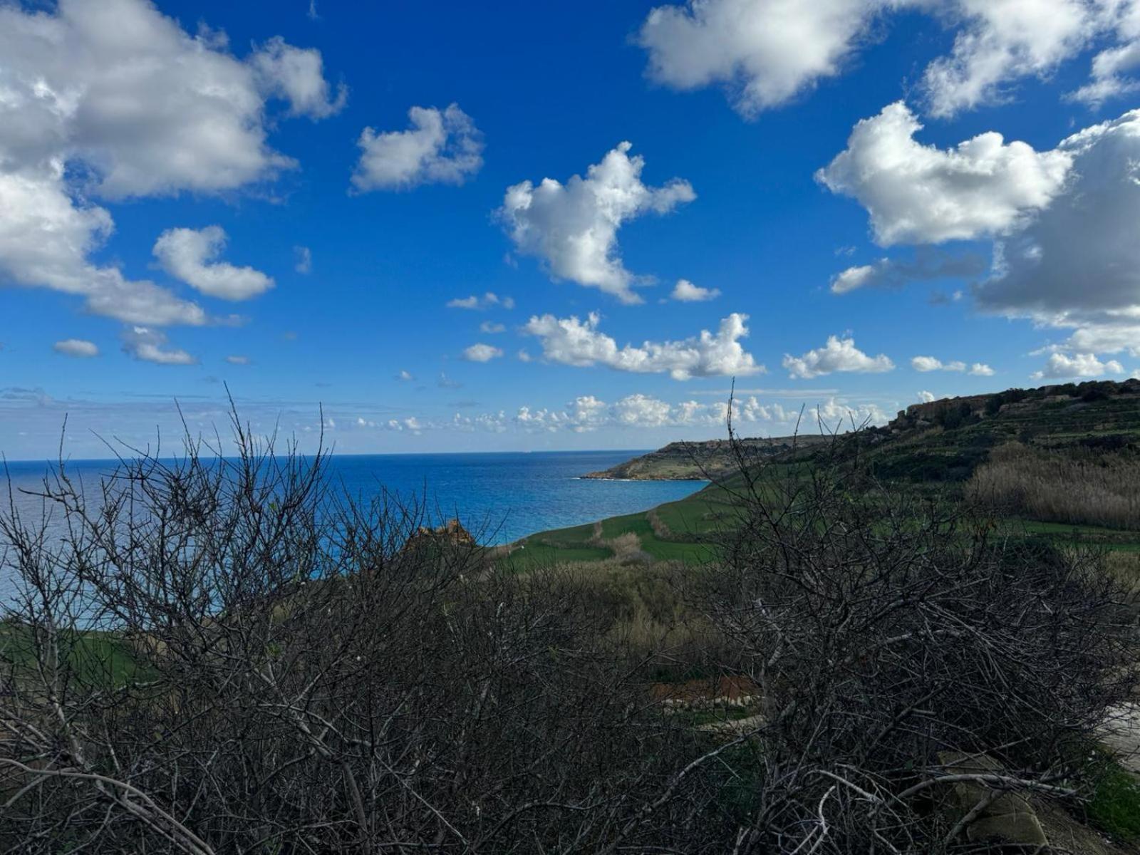 Ortensia Xagħra